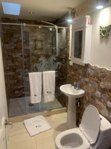 Ванна кімната в Los Andes Hostal