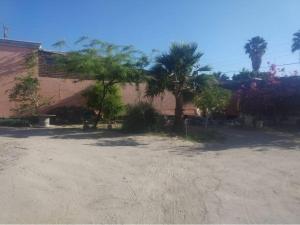 un patio de tierra con árboles y un edificio en Casa Rustico 117, en Puerto Peñasco