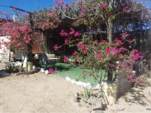 Un patio con flores rosas y una silla en la arena. en Casa Rustico 117, en Puerto Peñasco 4 fotos más