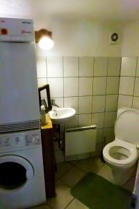 a small bathroom with a toilet and a sink at Chalet Edelweiss in Hérémence