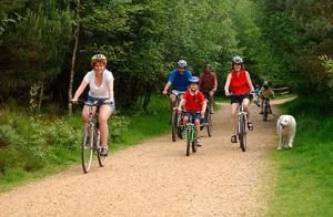 a group of people riding bikes down a dirt road at Хотел Дунав Свищов in Svishtov