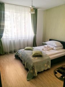a bedroom with a large bed with a window at Apartament Anita in Vulcan