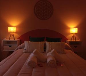 a bedroom with a large white bed with two lamps at Kau Del Valle in General Roca