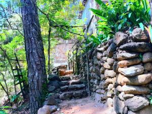 een stenen muur met een boom ernaast bij Green Shade Resort & Haritha Sewana Hotel in Nallathanniya