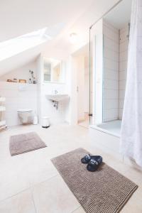 a bathroom with a shower and two rugs at Casa Ueberall in Fehmarn