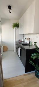 Kuchyň nebo kuchyňský kout v ubytování Modern studio, central location and free parking