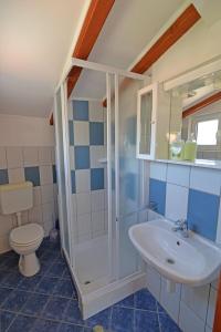 a bathroom with a shower and a sink and a toilet at Kobale 1 in Veli Lošinj