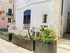 a row of plants on a sidewalk in front of a building at Lakkios charming suites and rooms in Syracuse