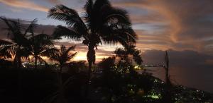 een zonsondergang met palmbomen op de voorgrond bij AU PANORAMA 1 chambre in La Possession