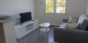 ein Wohnzimmer mit einem TV, einem Sofa und einem Stuhl in der Unterkunft AU PANORAMA 1 chambre in La Possession