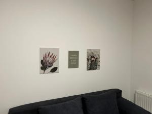 Posezení v ubytování Paky Appartements 00322