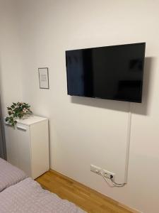 TV a/nebo společenská místnost v ubytování Paky Appartements 00322