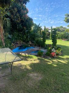 a garden with a pond in the grass at AEROPARK RESIDENCIAL2 in Maputo