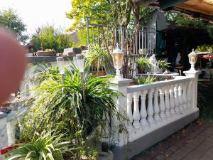 a white fence with potted plants on it at Landpension Villa Dominikus in Mömbris