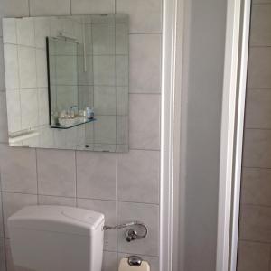 a bathroom with a toilet and a mirror at Landpension Villa Dominikus in Mömbris +9 photos