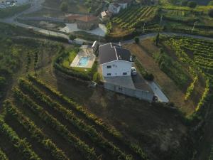an aerial view of a house in a vineyard at Abrigo das Andorinhas in Sameiro