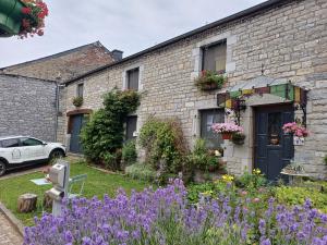 een stenen huis met paarse bloemen ervoor bij Les Gabelous - chambre d'hôtes - Viroinval in Dourbes