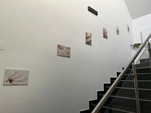 Fotografie z fotogalerie ubytování Paky Appartements 00323 v destinaci Bruck an der Leitha
