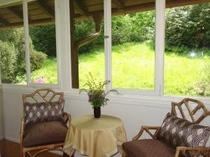 two chairs and a table in a room with windows at Bed & Breakfast Grünes Gold am Leisberg in Baden-Baden