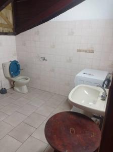 ein kleines Bad mit WC und Waschbecken in der Unterkunft La Cour CoCoyer in Bouillante