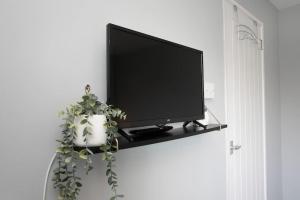 a flat screen tv on a wall with a plant at *Contractors, Holidays, Races, 25% off long stays* in Cheltenham