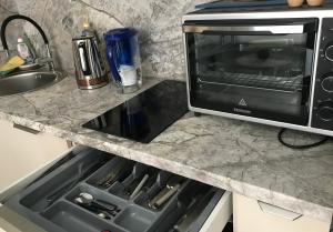 a kitchen counter with a sink and a microwave at Artsy central flat in Riga +12 photos