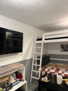 a bedroom with a bunk bed and a tv at Studio Bayonne avec balcon in Bayonne