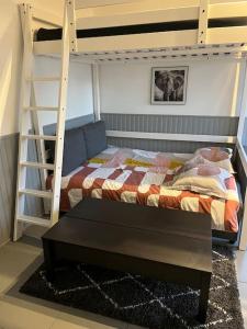 sypialnia z łóżkiem piętrowym i drabiną w obiekcie Studio Bayonne avec balcon w Bajonnie