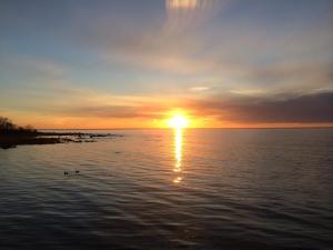 un coucher de soleil sur une masse d'eau avec des canards dans l'eau dans l'établissement Borgholm Rum Centralt, à Borgholm