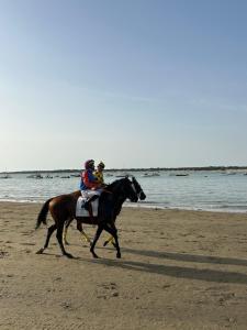 dos personas montando un caballo en la playa en Piso Velero Cerca a la Playa Sanlucar de Barrameda, en Sanlúcar de Barrameda