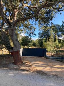 un árbol en un parque con una valla azul en Suite do Meco, Refugio no meio da natureza, en Sesimbra