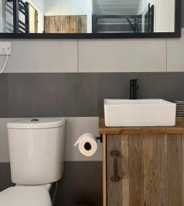 a bathroom with a white toilet and a sink at Shepherds Huts in Kidlington