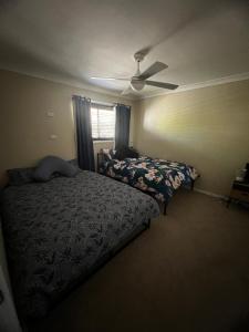 een slaapkamer met 2 bedden en een plafondventilator bij Comfy @ Blue Mist in Sussex inlet