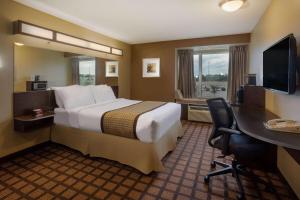 um quarto de hotel com uma cama e uma secretária em Microtel Inn & Suites by Wyndham - Timmins em Timmins