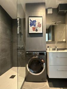 een wasmachine in een badkamer naast een wastafel bij L'Eclat du Lac in Tresserves