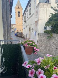 Blick auf eine Straße mit Blumen und einer Kirche in der Unterkunft Il Borgo in Sant'Egidio del Monte Albino