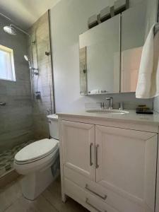 La salle de bains est pourvue de toilettes, d'un lavabo et d'une douche. dans l'établissement Best location Miami Brickell 3 bedroom Home, à Miami