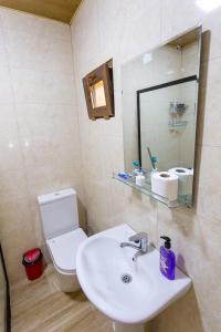a bathroom with a sink and a toilet and a mirror at Cosy Kvara77 in Zugdidi