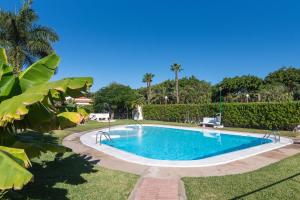 une piscine dans une cour avec des palmiers dans l'établissement La Casa Blanca a smart and sunny,3 bedrooms house, à San Bartolomé