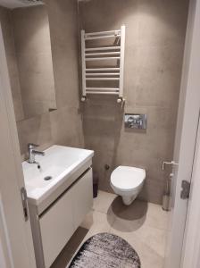 La salle de bains est pourvue d'un lavabo blanc et de toilettes. dans l'établissement Dilaver-Apart, à Istanbul