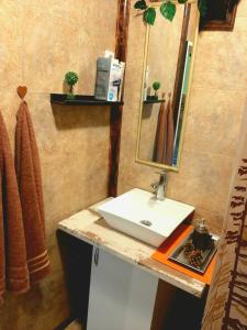 uma casa de banho com um lavatório branco e um espelho. em Sunny Side Fruska Gora- Studio A em Velika Remeta
