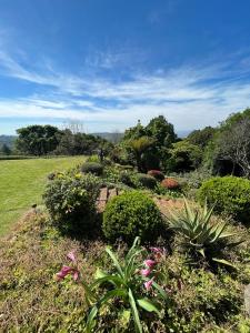 a garden with flowers and plants in a field at Cachai Cottage in Hilton