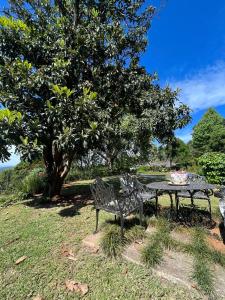 a table and a bench next to a tree at Cachai Cottage in Hilton