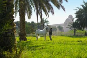 Ein Mann steht neben einem weißen Pferd auf einem Feld in der Unterkunft Al Samriya Hotel, Doha, Autograph Collection 