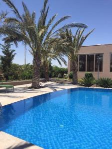 a swimming pool with palm trees in front of a building at Mountain Pool Suites in Amman