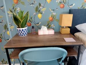 een tafel met een plant en een blauwe stoel bij Hill View Studio in Hawick +17 foto's