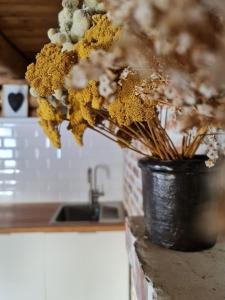a vase filled with flowers sitting on a counter at ŽOLIŲ NAMELIS in Antalkiai