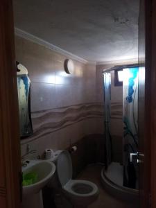 Baño pequeño con aseo y lavamanos en Maison de fatima, en Azrou