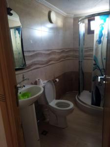 uma casa de banho com um WC, um lavatório e um chuveiro em Maison de fatima em Azrou