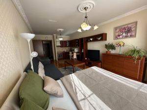 Televiisor ja/või meelelahutuskeskus majutusasutuses Apartment Julia in the center of Karlovy Vary